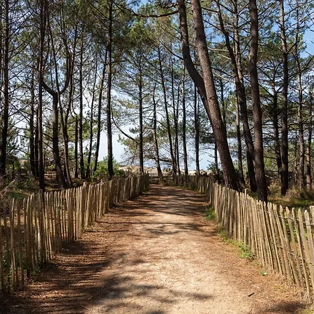 Maison Climatisee A Parentis-en-born, 3 Chambres, Jardin, Proche Centre Et Activites, Menage Inclus - Fr-1-319-554 Feriehus *